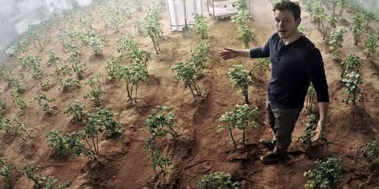 电影《火星救援》里在火星上种土豆的马特·达蒙