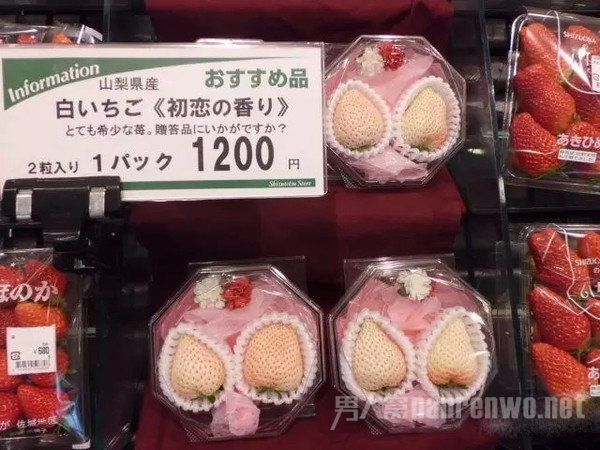 日本天价西瓜3.1万元，岛国的水果都是这么贵？