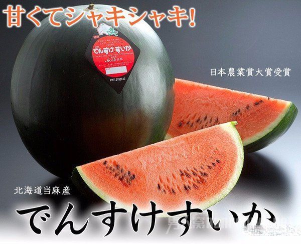 日本天价西瓜3.1万元，岛国的水果都是这么贵？