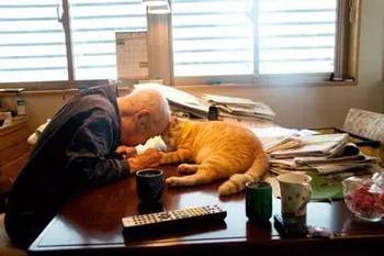 爷爷生病之后性格变得孤僻，脾气也变暴躁了，送给老人一只猫后奇迹发生了...