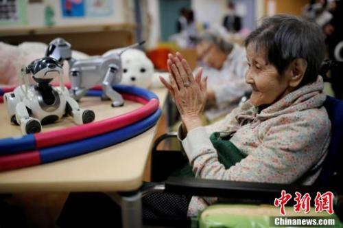 图为多种类型的机器人在养老院里分担了大部分人类的陪护工作，老人们很乐意与它们进行互动。