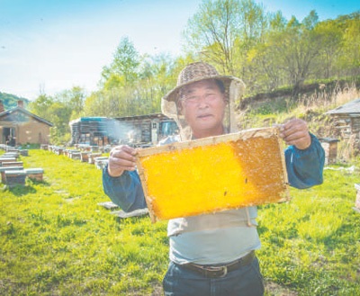 　京东—北纯黑龙江饶河县黑蜂养殖合作社的蜂农在劳作。 