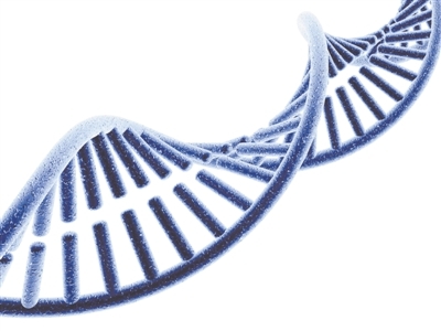 “人体内75%基因是垃圾？“垃圾DNA”吐露人与猩猩差异