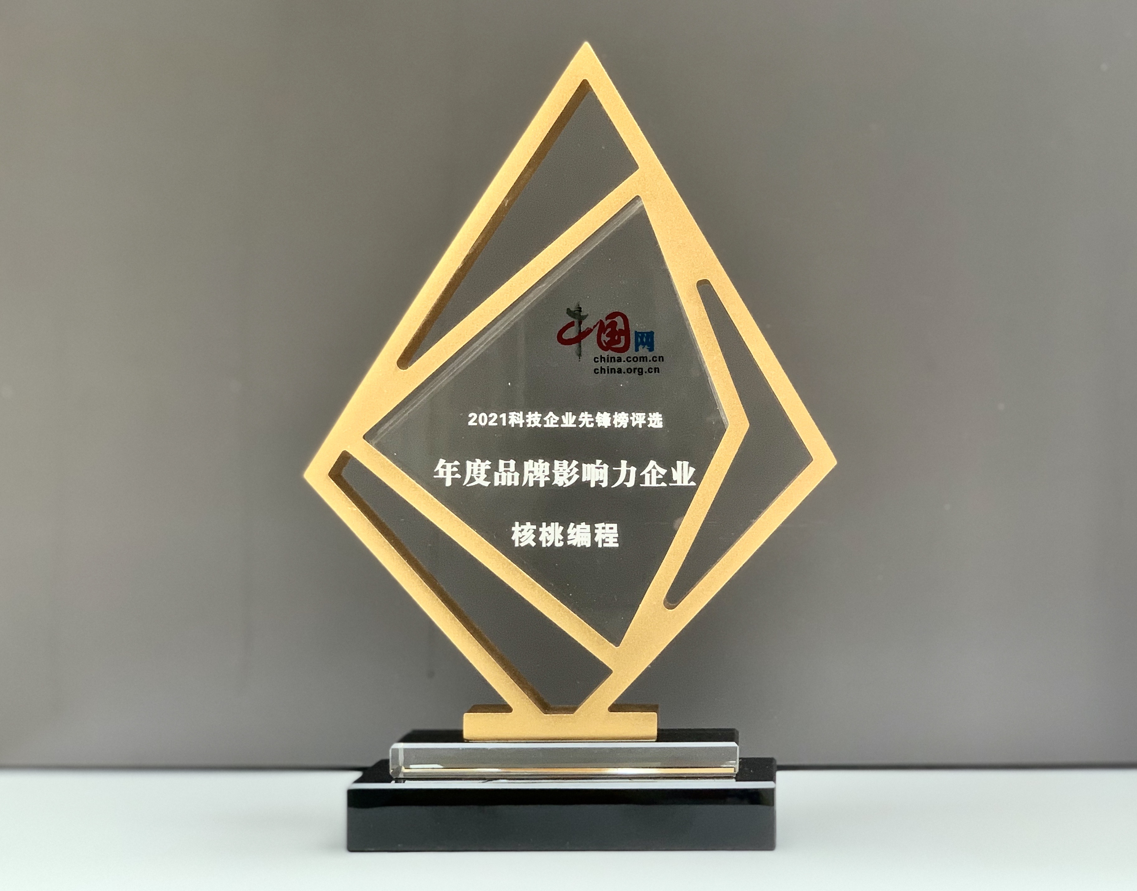 “核桃编程荣膺“2021中国网·科技企业先锋榜”年度品牌影响力企业