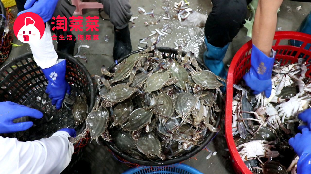 “全国开渔，东海“入淘”：在淘宝买海鲜24小时从码头直抵“舌尖”