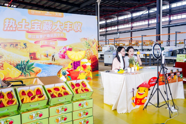 “广东农垦携手阿里巴巴 把“菠萝的海”与“火龙果海”搬进数字产地仓