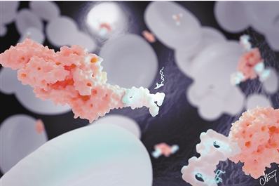 DNA“纳米转运蛋白”或能高效治癌