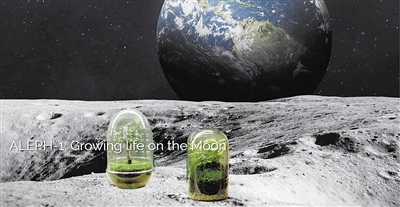 上月球种植物太空花园离我们有多远？