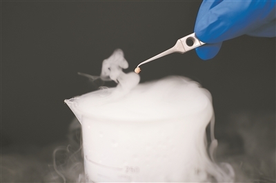 淋巴结冻干“锁鲜”技术或可用于肿瘤治疗
